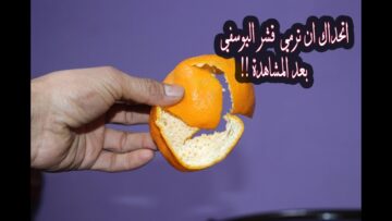 مستحيل ترميه تاني.. قشر اليوسفي شوفي هتعملي بيه ايه فكرة فظيعه من انهارده مش هتبطلى تجربيها