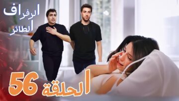 مسلسل طائر الرفراف الحلقة 56 خيوط القصة تتشابك والتوتر يصل إلى ذروته