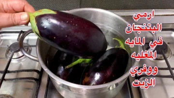 اختراع بجد عبقري.. ارمي الباذنجان في الميه المغلية عمري ما تخيلت النتيجة من انهارده مش هتعملية غير كده ضاع عمرنا نحضره غلط