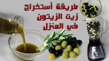 ليه تشتريه بالغالي.. ” وفري مجهودك واعملي زيت الزيتون البكر في البيت هتشوفي هيطلع معاكي ناجح