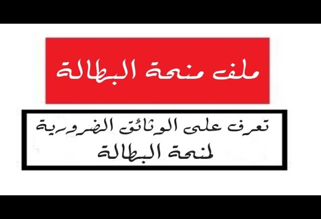 ملف منحة البطالة 2024 في الجزائر minha.anem.dz