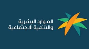 أسباب عدم أهلية الضمان 1024x636 1