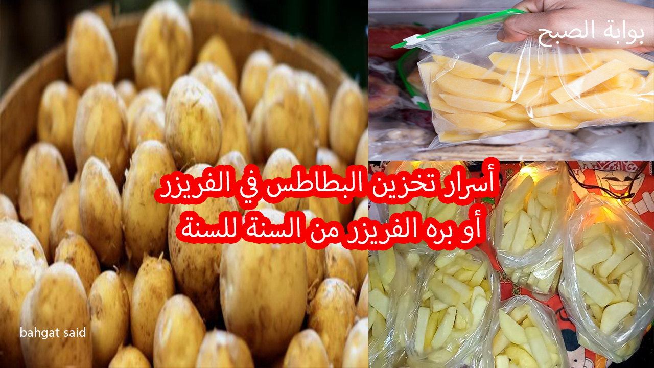 أسرار تخزين البطاطس من غير ما تسود ولا تعفن وطريقة معرفة القلية من الطبيخ 5 أسرار تخزين البطاطس من غير ما تسود ولا تعفن وطريقة معرفة القلية من الطبيخ