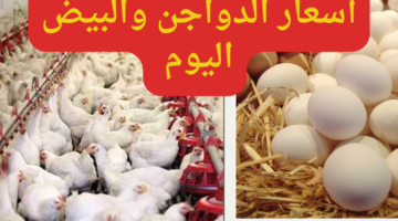 أسعار الدواجن اليوم 20240110 114634 0000