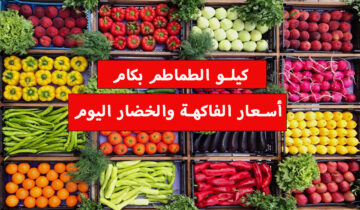 كيلو الطماطم بكام؟.. أسعار الفاكهة والخضار اليوم الجمعة 19 يناير في الأسواق المحلية