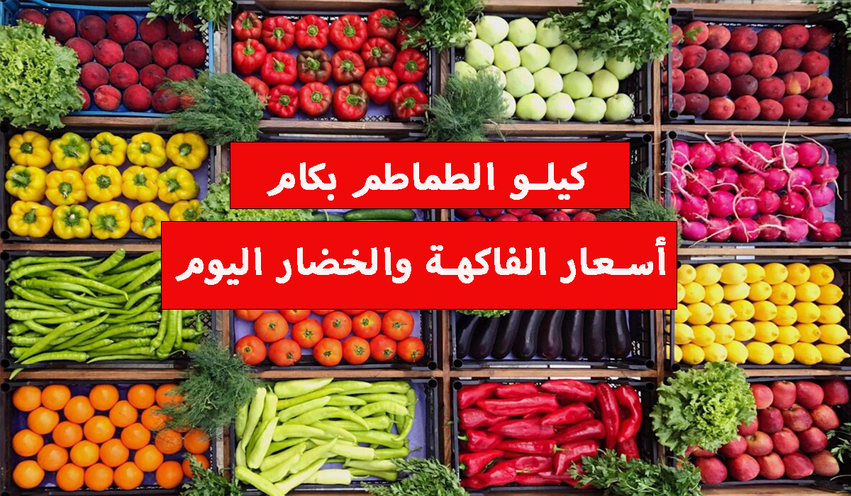 كيلو الطماطم بكام؟.. أسعار الفاكهة والخضار اليوم الجمعة 19 يناير في الأسواق المحلية 2 كيلو الطماطم بكام؟.. أسعار الفاكهة والخضار اليوم الجمعة 19 يناير في الأسواق المحلية