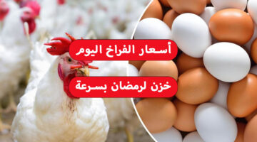 أسعار الفراخ اليوم 2