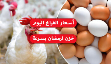 خزن بسرعة لرمضان.. أسعار الفراخ اليوم في الأسواق والبورصة تغير في السعر يضرب السوق 2024