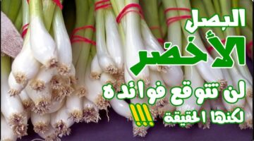أمراض يعالجها البصل الأخضر