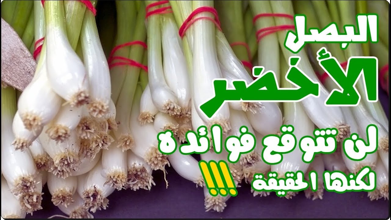 لازم تاكل منه كل يوم..تعرف على أهمية وفوائد البصل الأخضر والأمراض التي يعالجها مش هتبطل تاكله من النهاردة 7 لازم تاكل منه كل يوم..تعرف على أهمية وفوائد البصل الأخضر والأمراض التي يعالجها مش هتبطل تاكله من النهاردة