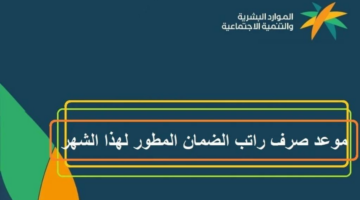 إضاثفة عنوان1