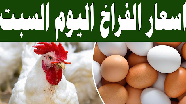 الفراخ رايحة على فين .. ارتفاع أسعار بورصة الدواجن اليوم السبت 6/1/2024 والفراخ البيضاء تسجل رقم كارثي 2 الفراخ رايحة على فين .. ارتفاع أسعار بورصة الدواجن اليوم السبت 6/1/2024 والفراخ البيضاء تسجل رقم كارثي
