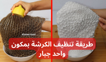 “محدش هيقولك عليها” .. إليكِ طريقة تنظيف الكرشة بمكون واحد جبار .. ابهري جوزك!!