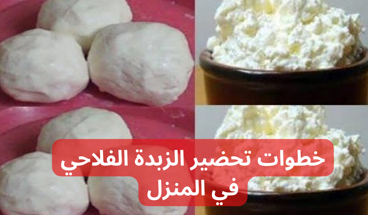 "محدش هيقولك عليها" .. بكيلو حليب واحد بس !!.. هتعملي أكبر كمية من الزبدة في البيت!! 5 “محدش هيقولك عليها” .. بكيلو حليب واحد بس !!.. هتعملي أكبر كمية من الزبدة في البيت!!