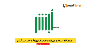 الاستعلام عن المخالفات المرورية