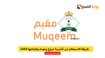 الاستعلام عن تأشيرة خروج وعودة