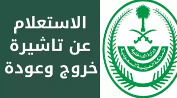 الاستعلام عن صلاحية تأشيرة الخروج والعودة