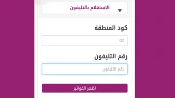 هينزلك غرامة وهيفصلو النت .. دفع فاتورة التليفون الارضي لشهر يناير 2024 من بيتك