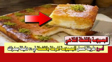 البسبوسة بالقشطة 3