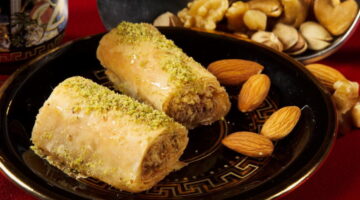 البغاشة 4