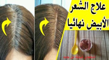 التخلص من الشيب نهائيا بالوصفات الطبيعية