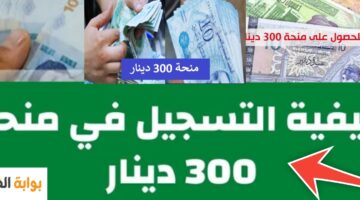 التسجيل في منحة 300 دينار 2