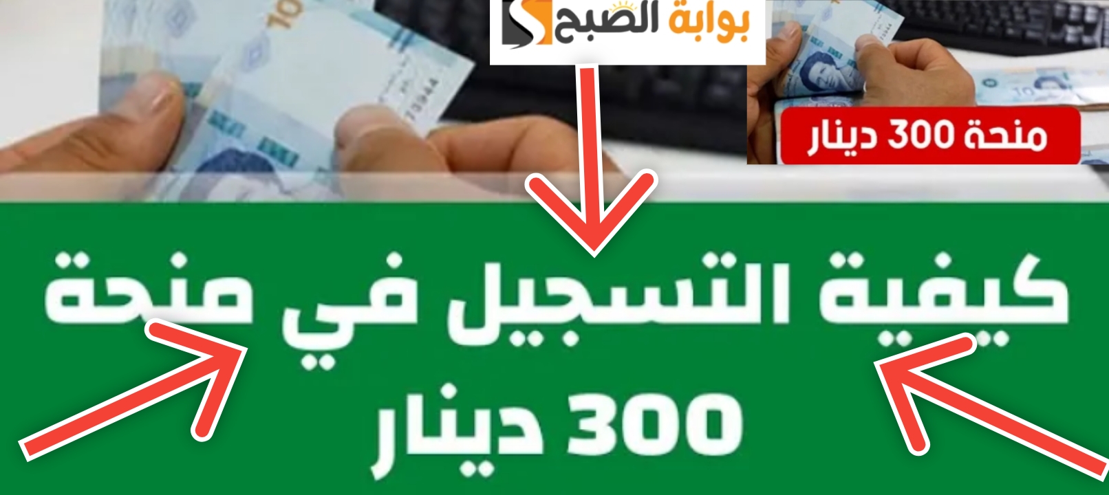 كيفية التسجيل في منحة 300 دينار بعد تحديث الشروط وخطوات التقديم 2024 5 كيفية التسجيل في منحة 300 دينار بعد تحديث الشروط وخطوات التقديم 2024