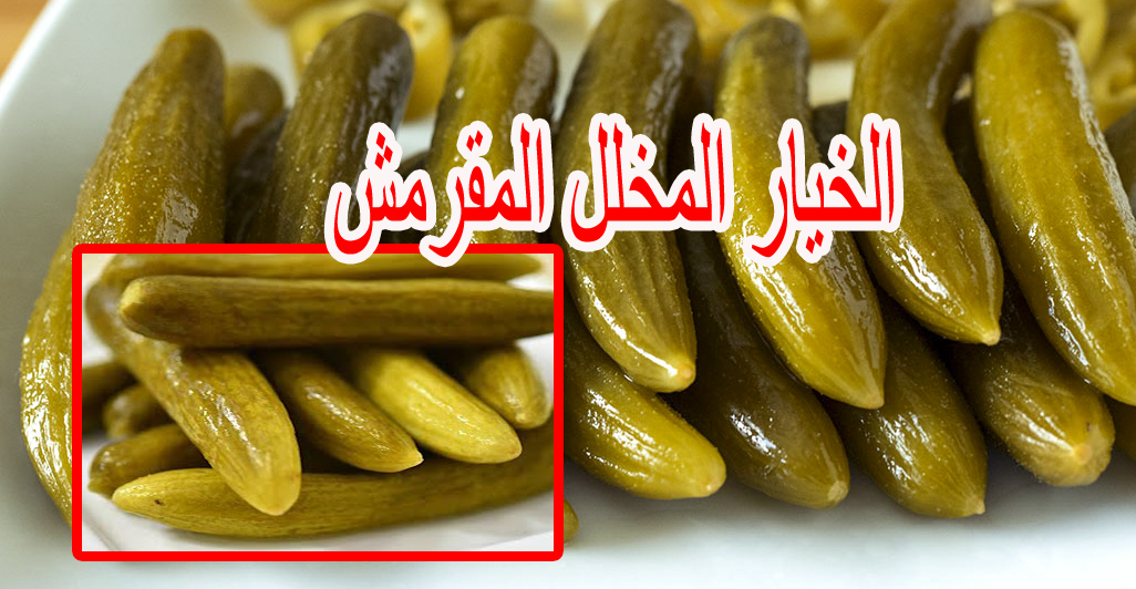 بأسرار محلات الطرشي.. طريقة عمل الخيار المخلل المشط المقرمش بطعم لذيذ لا يقاوم 5 بأسرار محلات الطرشي.. طريقة عمل الخيار المخلل المشط المقرمش بطعم لذيذ لا يقاوم