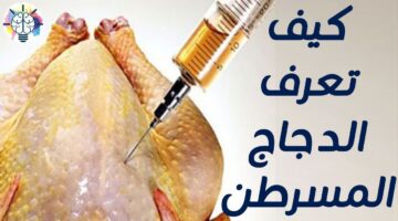 الدجاج المسرطن