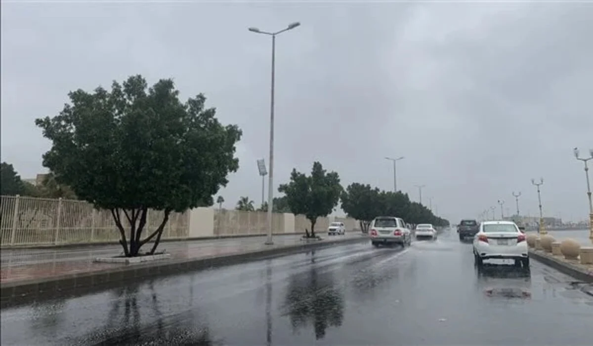 متى يخلص الشتاء في السعودية 1445 هذا العام