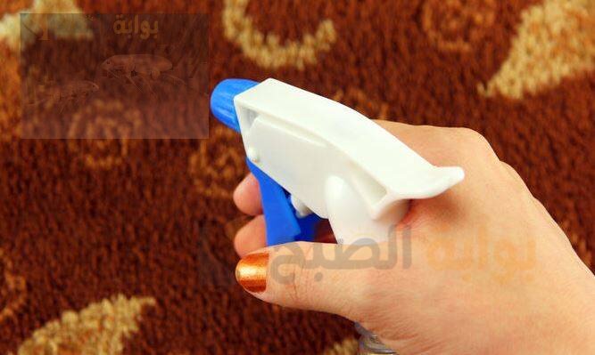 كيفية التخلص من البراغيث في البيت بطريقة سهله وبسيطة 5 كيفية التخلص من البراغيث في البيت بطريقة سهله وبسيطة