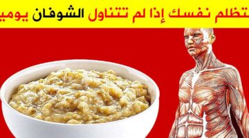الشوفان