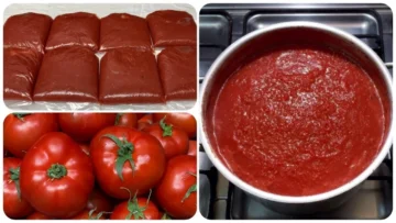 طرق صحية حفظ وتخزين الطماطم في الثلاجة والفريزر فترة طويلة من غير ما تبوظ أو يتغير طعمها