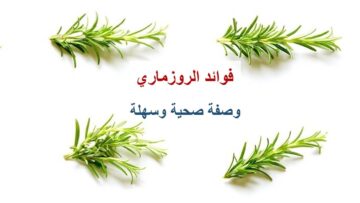 الفوائد الصحية للروزماري للجسم والشعر لزيادة نموه