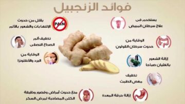 فوائد الزنجبيل الصحية الكثيرة تخليه مكون أساسي في كل بيت