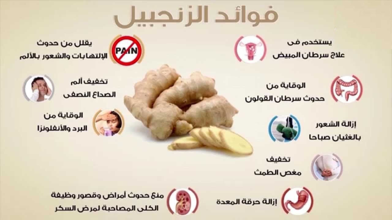 فوائد الزنجبيل الصحية الكثيرة تخليه مكون أساسي في كل بيت 5 فوائد الزنجبيل الصحية الكثيرة تخليه مكون أساسي في كل بيت