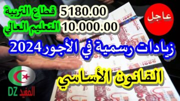 NOW القانون الأساسي للأستاذ الجامعي 2024 في الجزائر
