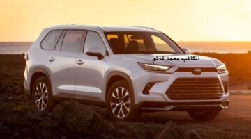 الكاتب محمد غانم10