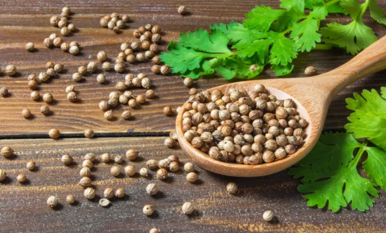 وفري ودبري .. أفضل طريقة لزراعة الكزبرة في مساحة صغيرة في البيت وفي دقايق 5 وفري ودبري .. أفضل طريقة لزراعة الكزبرة في مساحة صغيرة في البيت وفي دقايق