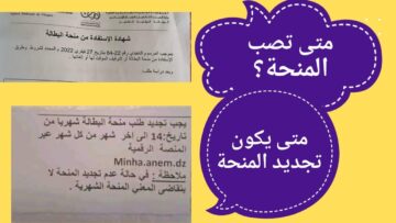 “بعد الزيادة الجديدة” إجراءات تجديد منحة البطالة في الجزائر 2024 خطوات وشروط