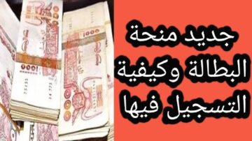تجديد تسجيل بمنحة بطالة الجزائر 2024 أهم برامج الوكالة الوطنية