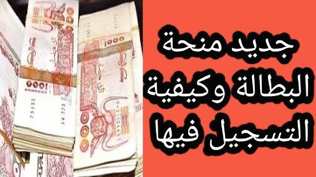 تجديد تسجيل بمنحة بطالة الجزائر 2024 أهم برامج الوكالة الوطنية 5 تجديد تسجيل بمنحة بطالة الجزائر 2024 أهم برامج الوكالة الوطنية