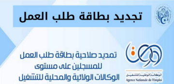 رابط تجديد طلب العمل anem wassit بالجزائر 2024 للتسجيل في منحة البطالة