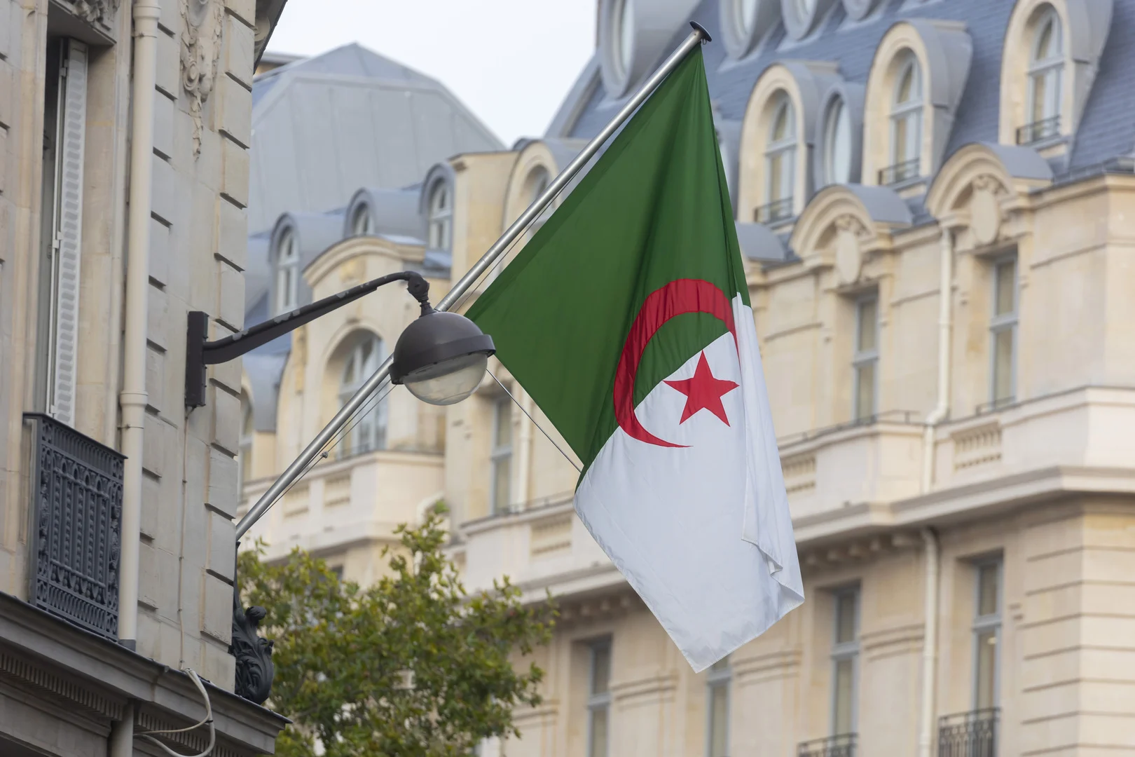رابط تجديد منحة البطالة في الجزائر 2024 لجميع الفئات (نساء - رجال - شباب) 5 رابط تجديد منحة البطالة في الجزائر 2024 لجميع الفئات (نساء – رجال – شباب)