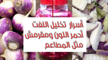 تخليل اللفت كالمطاعم وأسرار عمله بالمنزا
