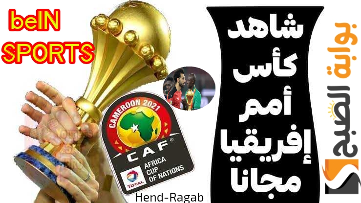 «ثبتها على جهازك».. تردد قناة beIN SPORTS المفتوحة الناقلة لبطولة كأس الأمم الأفريقية لعام 2024 2 «ثبتها على جهازك».. تردد قناة beIN SPORTS المفتوحة الناقلة لبطولة كأس الأمم الأفريقية لعام 2024