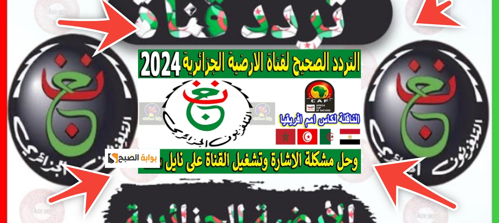 تردد قناة الأرضية الجزائرية الناقلة لبطولة كاس الأمم الأفريقية مجانا 2024 5 تردد قناة الأرضية الجزائرية الناقلة لبطولة كاس الأمم الأفريقية مجانا 2024