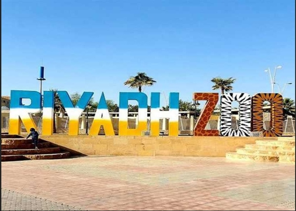 أنشطة ممتعة وغير عادية في حديقة الحيوان في الرياض 2024 .. ما هي مواعيد العمل وكيفية الحجز؟ 5 أنشطة ممتعة وغير عادية في حديقة الحيوان في الرياض 2024 .. ما هي مواعيد العمل وكيفية الحجز؟