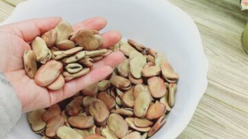 حطي السكر على الفول لأحلى وصفة فول مدمس في البيت خطيرة هتعجبك ومش هتشتري من المطعم تاني