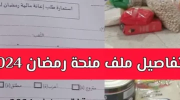 خطوات الحصول علي منحة رمضان 2024 800x600 1